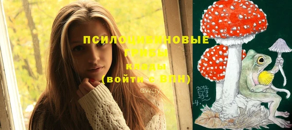эйфоретик Армянск