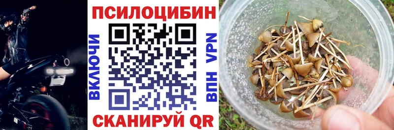 Галлюциногенные грибы Psilocybine cubensis сколько стоит Кашин